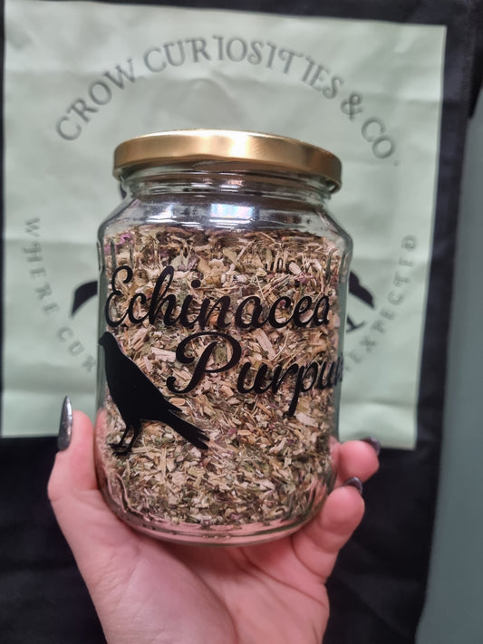 Echinacea Purpurea